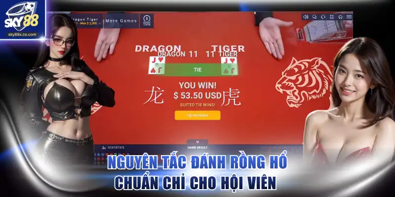 Nguyên tắc đánh Rồng Hổ chuẩn chỉ cho hội viên 