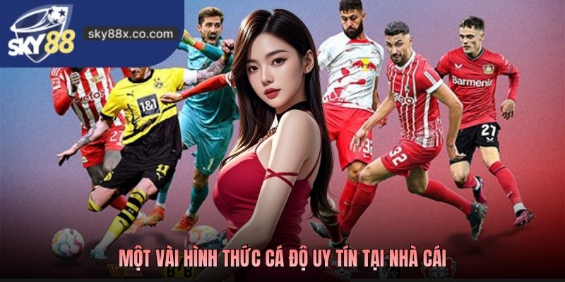 Một vài hình thức cá độ uy tín tại nhà cái